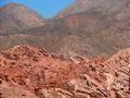 Wir kamen durch die Quebrada de Cafayate, eine Schlucht, deren Felsw�nde aus rotem Sandstein bestanden. Die Erosion hatte daraus Kunstwerke geschaffen, die denen von Talampaya in nichts nachstanden