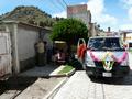 Jetzt wird auch klar, wof�r die vielen Blumen an der Stra�e verkauft wurden: An jedem Wochenende kommen hier Familien aus ganz Bolivien und dem angrenzenden Peru und lassen ihre Autos segnen. Der Segen wird sowohl von einem M�nch als auch einem Schamanen erteilt. Danach sitzen die Besitzer der geschm�ckten Autos mit Familie und Freunden neben ihren Autos am Stra�enrand und feiern