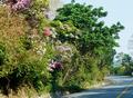 �ppiges Bunt entlang denStra�en