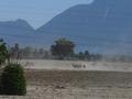 Hier wuchs Gem�se in allen Sorten. Bauern pfl�gten mit Pferden oder Eseln.