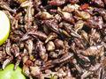 Am Fu� der Pylramide werden proteinreiche Leckereien verkauft