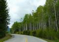 Der alte Trans-Canada-Highway 1A nach Lake Louise