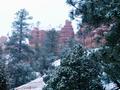 Der Morgen zeigte uns eine sch�ne Schneelandschaft. Ab Juni ist hier Sommer und nach Auskunft der Parkranger ist dies das k�lteste Maiende seit 25 Jahren!