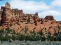Durch den Red Canyon
