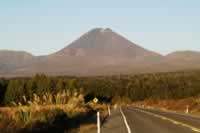 Hier geht�s zur Bildergalerie Nordinsel, Wellington - Paihia