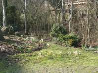 Park an der Stra�e